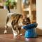 Show in main carousel: Frisco Elevated Tilted Cat Bowl, Blue Marble, Small: 2 cup slide 6 of 8