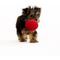 Show in main carousel: Playology Beef Scented Squeaky Ball Plush Dog Toy, Small slide 3 of 7