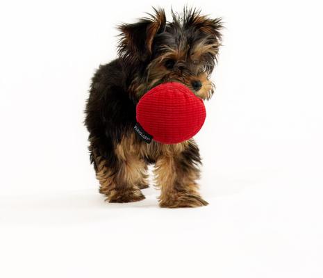 Show full view: Playology Beef Scented Squeaky Ball Plush Dog Toy, Small slide 3 of 7
