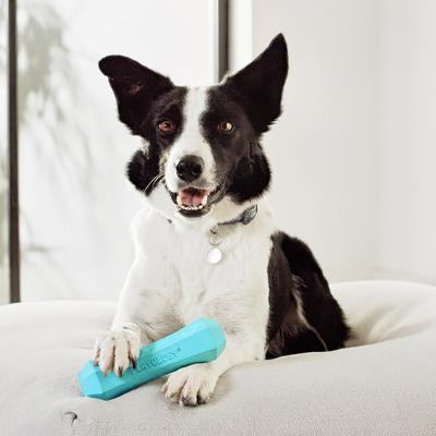 Show full view: Playology Peanut Butter Scented Squeaky Chew Stick Dog Toy, Jumbo slide 4 of 10