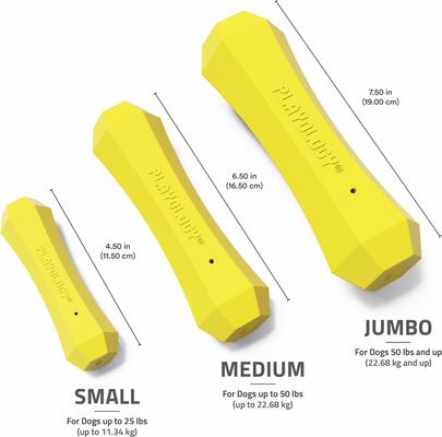 Show full view: Playology Chicken Scented Squeaky Chew Stick Dog Toy, Jumbo slide 5 of 9