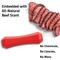 Show in main carousel: Playology Beef Scented Squeaky Chew Stick Dog Toy, Medium slide 4 of 9