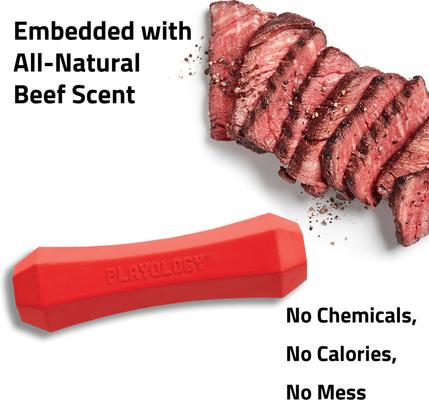 Show full view: Playology Beef Scented Squeaky Chew Stick Dog Toy, Medium slide 4 of 9