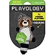 Show in main carousel: Playology Sweet Potato Scented Racoon Plush Squeaky Dog Toy slide 1 of 8
