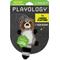 Show in main carousel: Playology Sweet Potato Scented Racoon Plush Squeaky Dog Toy slide 1 of 8