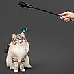 Show in main carousel: Playology Motorized Hummingbird/Butterfly Teaser Cat Toy slide 3 of 8