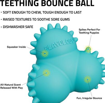 Show full view: Playology Peanut Butter Scented Young & Active Teething Bounce Ball Dog Toy, Medium slide 2 of 9
