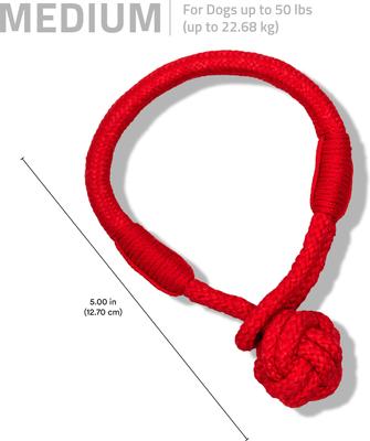 Show full view: Playology Beef Scented Young & Active Tough Tug Knot Dog Toy, Medium slide 6 of 8
