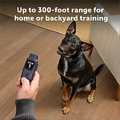 PetSafe Basic Dog Remote Trainer, Dark Navy, 10 to 22-in neck, 3/4-in wide slide 2 of 8