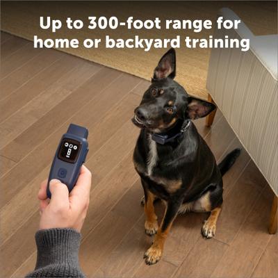 Show full view: PetSafe Basic Dog Remote Trainer, Dark Navy, 10 to 22-in neck, 3/4-in wide slide 7 of 10