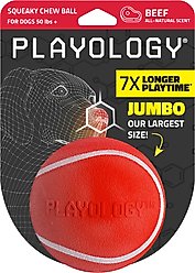 Playology Beef Scented Squeaky Chew Ball Dog Toy, Jumbo