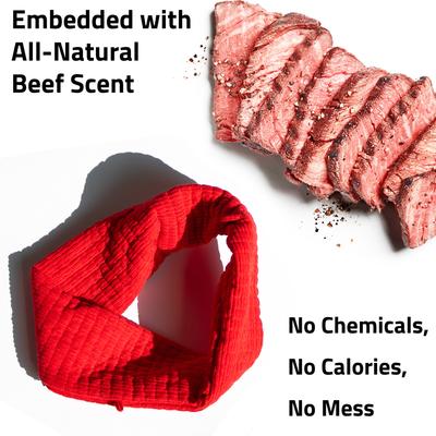 Show full view: Playology Beef Scented Crinkle Ring Plush Dog Toy, Jumbo slide 4 of 7