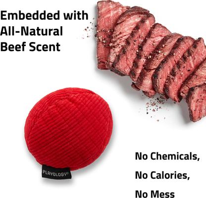 Show full view: Playology Beef Scented Squeaky Ball Plush Dog Toy, Small slide 4 of 7