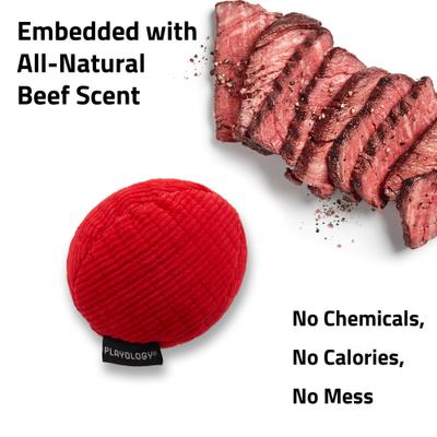 Show full view: Playology Beef Scented Squeaky Ball Plush Dog Toy, Medium slide 5 of 8