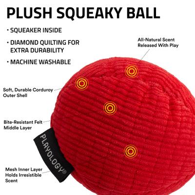 Show full view: Playology Beef Scented Squeaky Ball Plush Dog Toy, Medium slide 3 of 8