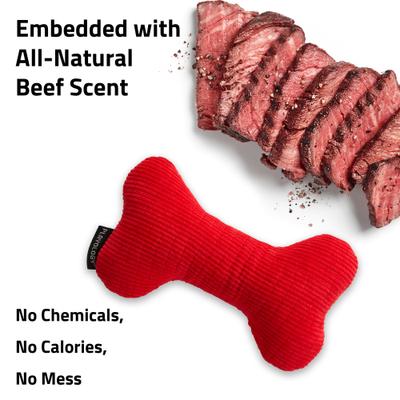 Show full view: Playology Beef Scented Squeaky Bone Plush Dog Toy, Medium slide 5 of 8