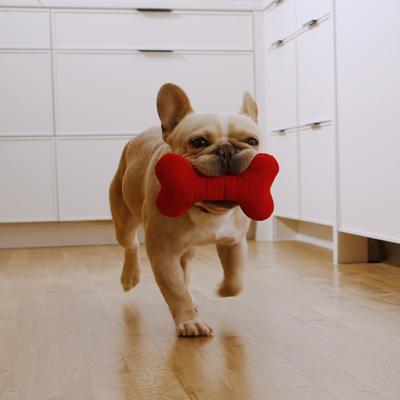 Show full view: Playology Beef Scented Squeaky Bone Plush Dog Toy, Medium slide 4 of 8