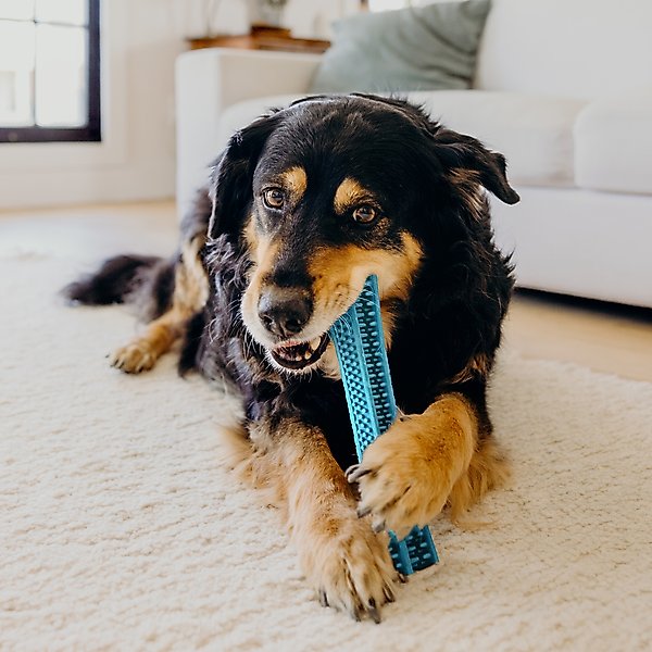 Show full view: Playology Peanut Butter Scented Dental Chew Stick Dog Toy, Medium slide 4 of 8