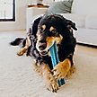 Show in main carousel: Playology Peanut Butter Scented Dental Chew Stick Dog Toy, Medium slide 4 of 8