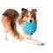 Show in main carousel: Playology Peanut Butter Scented Crinkle Disc Plush Dog Toy, Jumbo slide 3 of 6