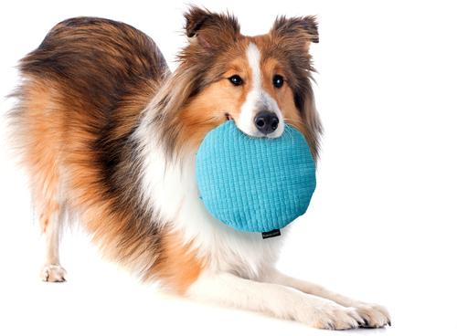 Show full view: Playology Peanut Butter Scented Crinkle Disc Plush Dog Toy, Jumbo slide 3 of 6