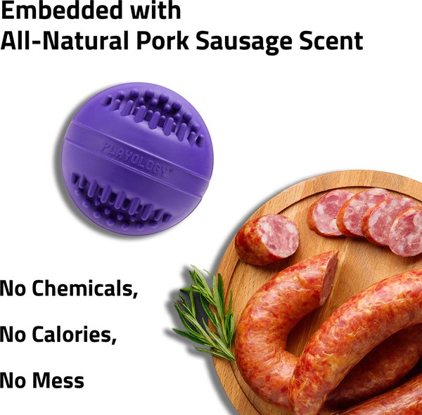 Show full view: Playology Pork Sausage Scented Dental Chew Ball Dog Toy, Medium slide 5 of 7