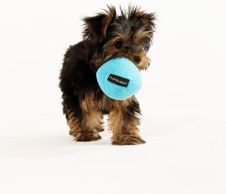 Show full view: Playology Peanut Butter Scented Squeaky Ball Plush Dog Toy, Small slide 4 of 8