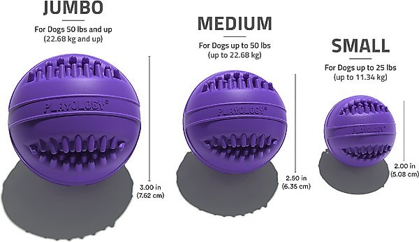 Show full view: Playology Pork Sausage Scented Dental Chew Ball Dog Toy, Medium slide 6 of 7