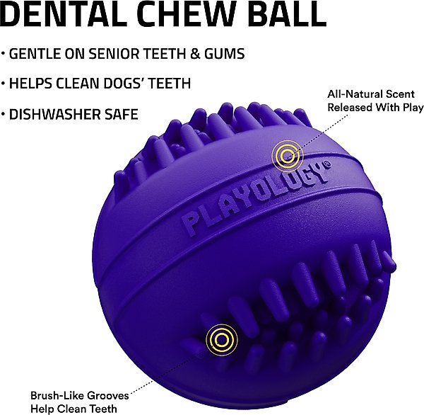 Show full view: Playology Pork Sausage Scented Dental Chew Ball Dog Toy, Medium slide 3 of 7