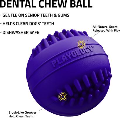 Show full view: Playology Pork Sausage Scented Dental Chew Ball Dog Toy, Medium slide 2 of 6