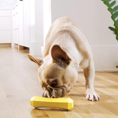 Show full view: Playology Chicken Scented Squeaky Chew Stick Dog Toy, Medium slide 3 of 9