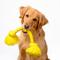Show in main carousel: Playology Dri-Tech Rope Dog Toy, Jumbo, Chicken slide 4 of 10