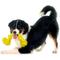 Show in main carousel: Playology Dri-Tech Rope Dog Toy, Medium, Chicken slide 3 of 9