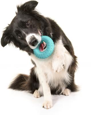 Show full view: Playology Peanut Butter Scented Dual Layer Ring Dog Toy, Medium slide 3 of 8