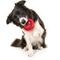Show in main carousel: Playology Beef Scented Dual Layer Ring Dog Toy, Medium slide 4 of 9