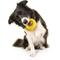 Show in main carousel: Playology Chicken Scented Dual Layer Ring Dog Toy, Medium slide 3 of 8