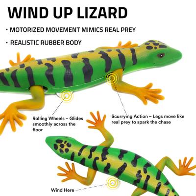 Show full view: Playology Windup Lizard Cat Toy slide 2 of 7