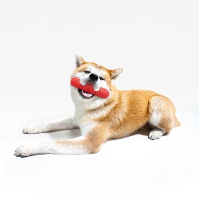 Show full view: Playology Beef Scented Squeaky Bumper Dog Toy, Jumbo slide 4 of 9