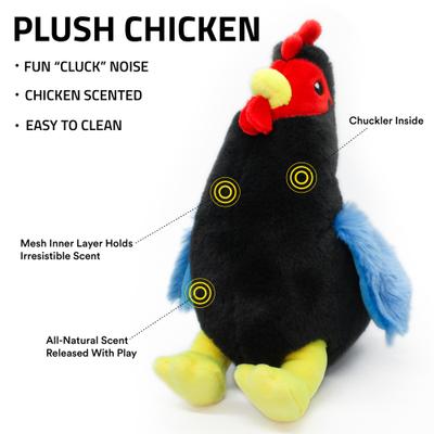Show full view: Playology Chicken Scented Hen Plush Clucking Dog Toy slide 2 of 7
