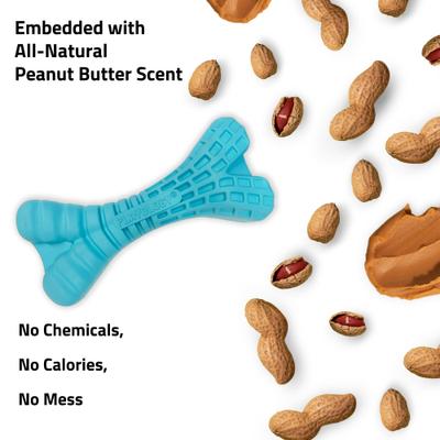 Show full view: Playology Peanut Butter Scented Dental Bone Dog Toy, Jumbo slide 4 of 7