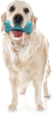 Show full view: Playology Peanut Butter Scented Dental Bone Dog Toy, Jumbo slide 3 of 7