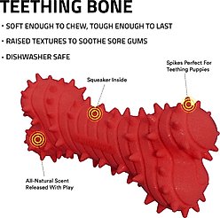 Playology Beef Scented Young & Active Teething Bone Dog Toy, Small slide 2 of 6