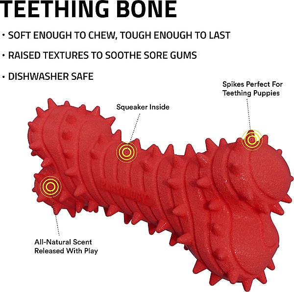 Show full view: Playology Beef Scented Young & Active Teething Bone Dog Toy, Jumbo slide 3 of 10
