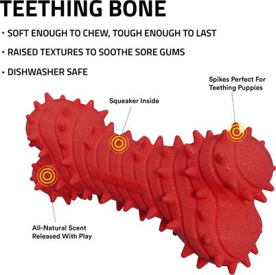 Show full view: Playology Beef Scented Young & Active Teething Bone Dog Toy, Small slide 2 of 8
