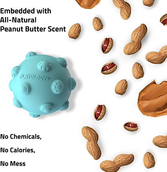 Show full view: Playology Peanut Butter Scented Young & Active Teething Ball Dog Toy, Medium slide 5 of 8