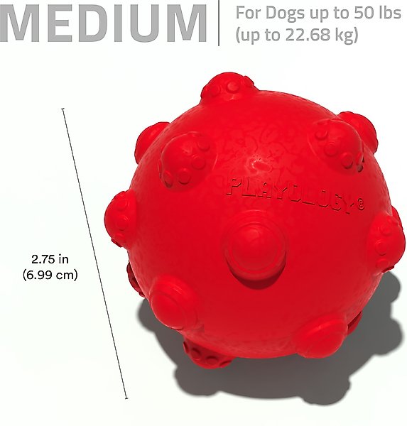 Show full view: Playology Beef Scented Young & Active Teething Ball Dog Toy, Medium slide 6 of 8