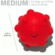 Show in main carousel: Playology Beef Scented Young & Active Teething Ball Dog Toy, Medium slide 6 of 8