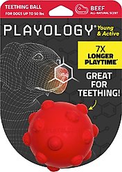 Playology Beef Scented Young & Active Teething Ball Dog Toy, Medium
