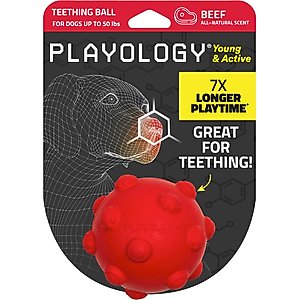 Playology Beef Scented Young & Active Teething Ball Dog Toy, Medium