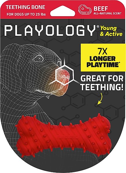 Show full view: Playology Beef Scented Young & Active Teething Bone Dog Toy, Small slide 1 of 9